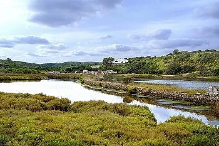 Bild: Menorca: Paradies für Ornithologen und Vogelbeobachter