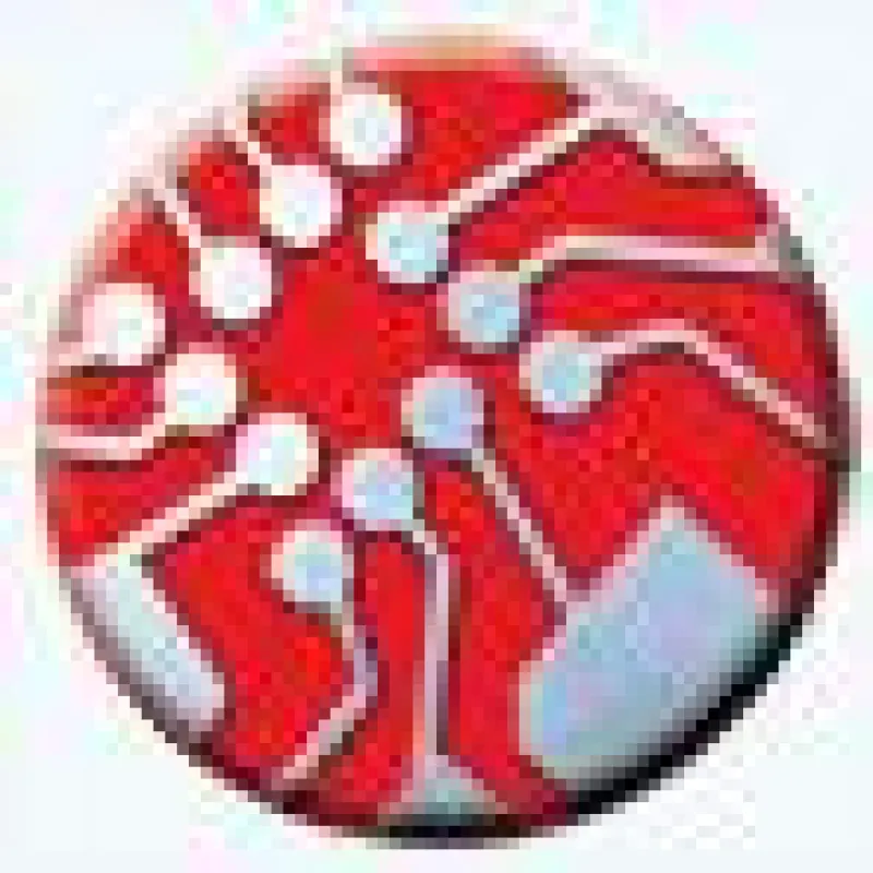 TMS Logo
