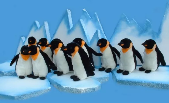 Bild: Auf den Spuren eines bahnbrechenden Polarforschers