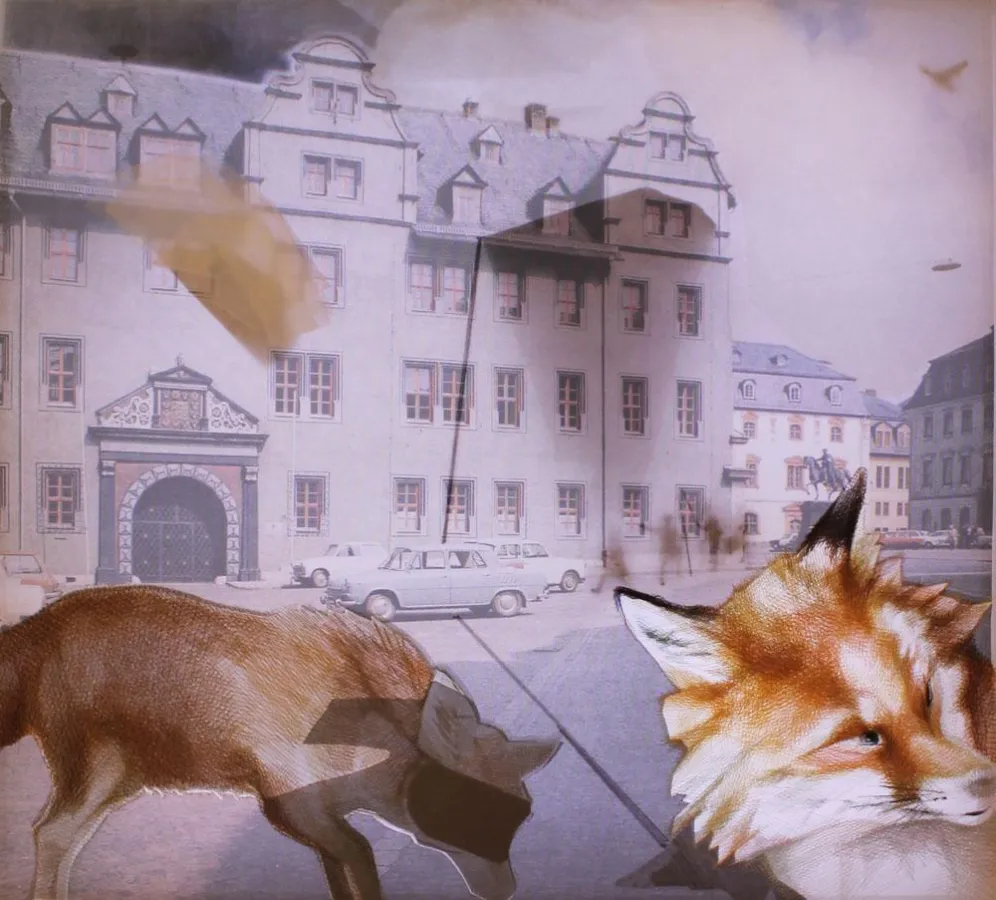 Monika Thiele, gestuerzter Engel (Blinder Fuchs), 2013, 110 x 120 cm