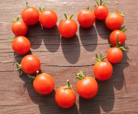 Bild: Essen für den Klimaschutz – ecogood erklärt, wie man durch sein Essverhalten dem Klima helfen kann