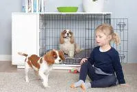 Bild: Die weltweit erste Hundebox mit integriertem Kleiderschrank