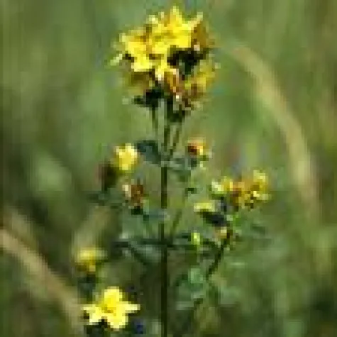 Bild: Stress lass nach