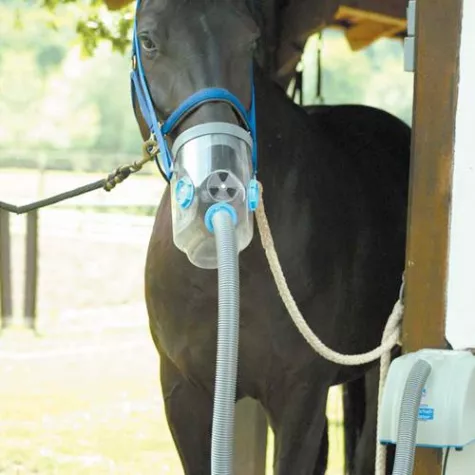 Bild: Air-one, Ultraschall-Inhalator für Pferde