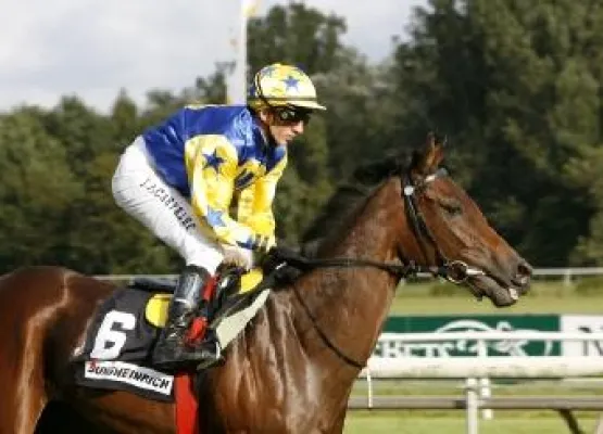 Bild: Bult-Stuten im „htp-Cup“ mit harter Konkurrenz aus dem Ausland