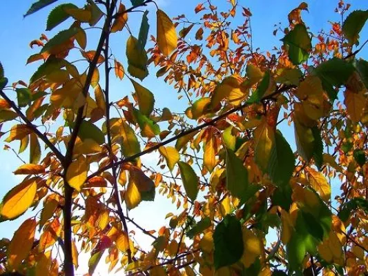 Bild: Im Trend: Urlaub auf dem Bio-Bauernhof