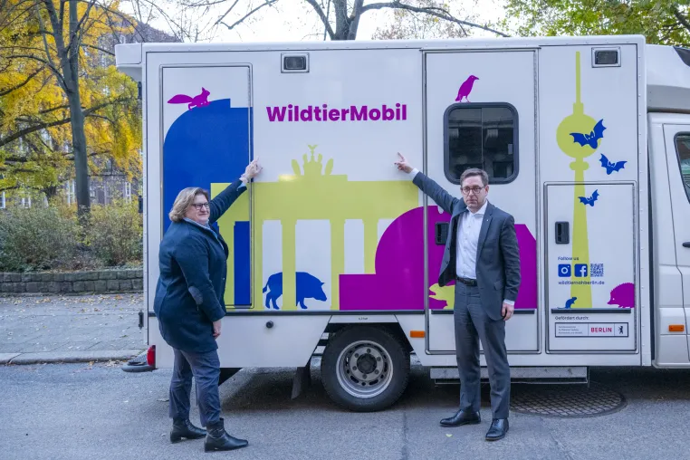 Bild: „Wildtiernah Berlin“: Neue Initiative vernetzt und stärkt Wildtierschutz und Bürger:innenberatung in der Hauptstadt