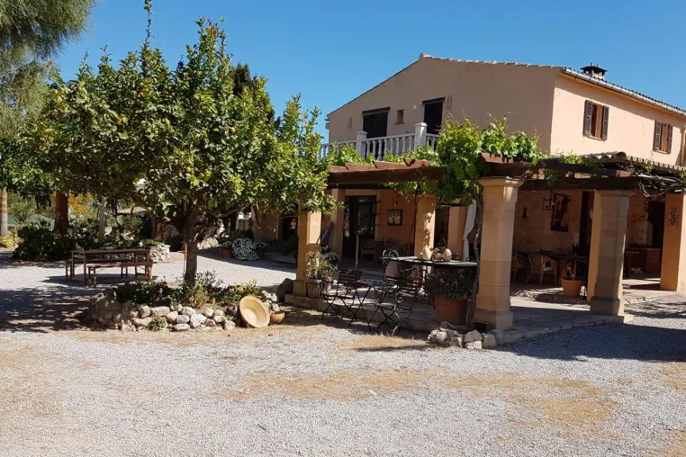 Finca Caballo Blanco - Rückzugsort für Agenturen, Start-ups oder Unternehmer*innen Bild: Finca Caballo Blanco - Rückzugsort für Agenturen, Start-ups oder Unternehmer*innen