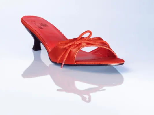 Bild: Vegane Schuhmode von Lylium