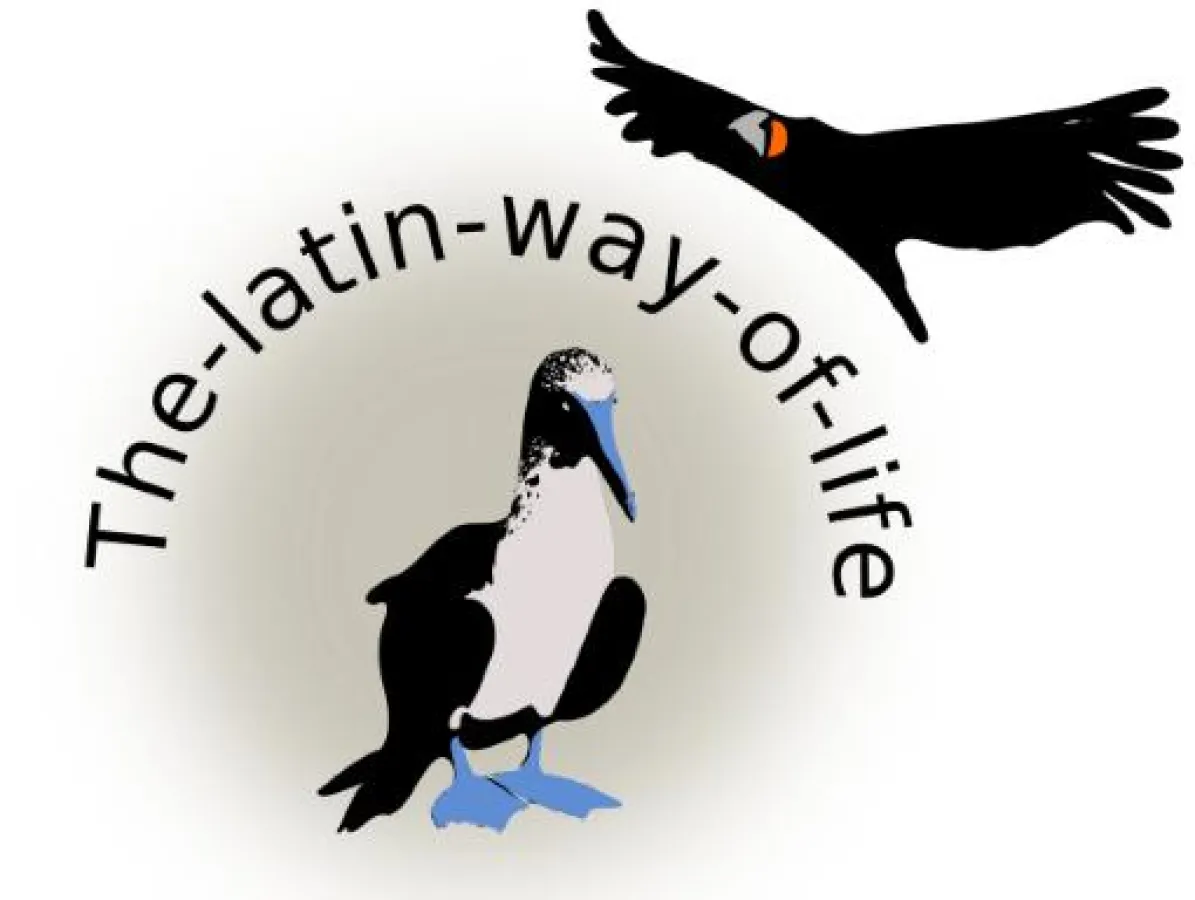 Schmuck und Accessoires mit lateinamerikanischem Flair