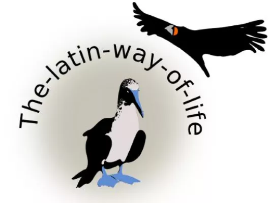 'The latin way of life' - Der Onlineshop für Schmuck und modische Taschen direkt aus Lateinamerika Bild: 'The latin way of life' - Der Onlineshop für Schmuck und modische Taschen direkt aus Lateinamerika