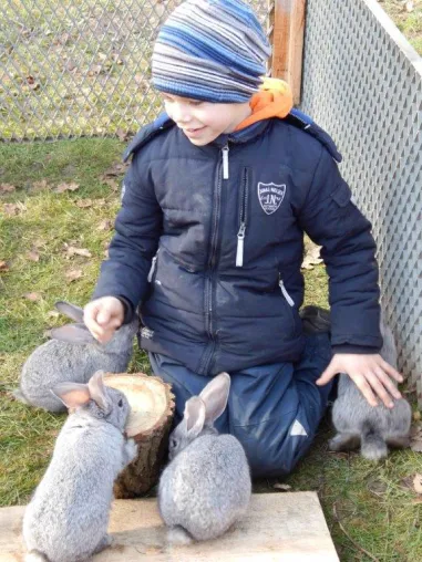 Tierischer Ferienspaß auf dem Ellernhof – Kinder-Ferienprogamm zu Ostern Bild: Tierischer Ferienspaß auf dem Ellernhof – Kinder-Ferienprogamm zu Ostern