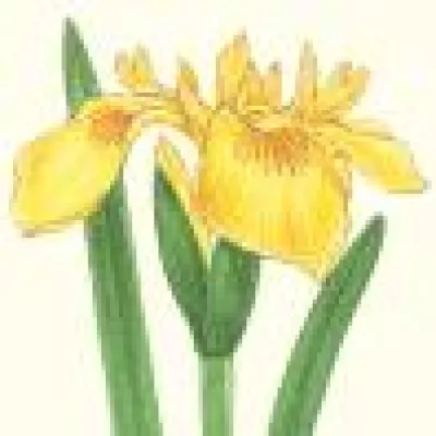 Bild: Vela Entertainment Studios erweitert das Portfolio um LernApps für Kinder