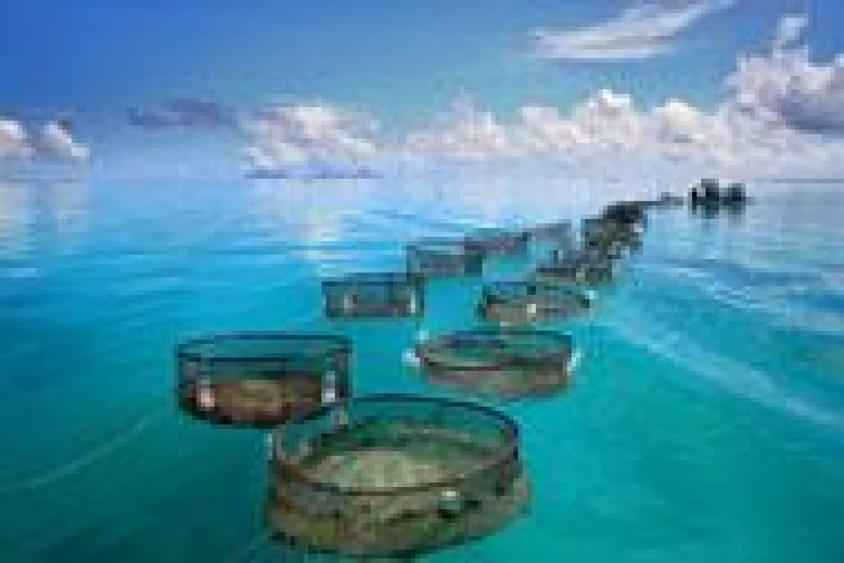 Das Umwelt-Abkommen „Grenelle de la Mer“ soll zusätzlich den Schutz und die nachhaltige Nutzung der Meere besiegeln.