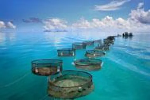 Bild: Frischer Wind an Frankreichs Küsten