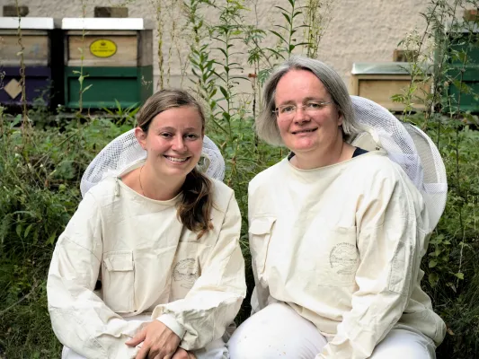 Weltbienentag am 20. Mai: 40 Wildbienenarten in Deutschland bereits ausgestorben Bild: Weltbienentag am 20. Mai: 40 Wildbienenarten in Deutschland bereits ausgestorben