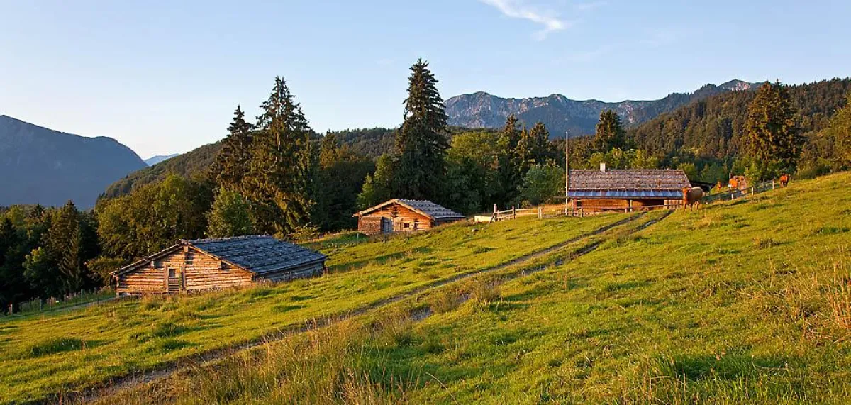 Blick auf das Glentleitener Almenareal (Archiv FLM Glentleiten, Foto: Bäck)
