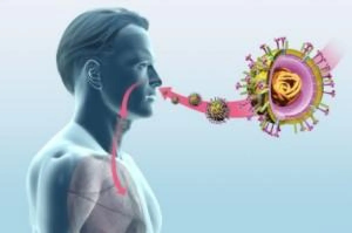 Ein intaktes Immunsystem ist unabdingbar, um schädliche Viren und Bakterien zu bekämpfen; und das Immunsystem hat einen hohen Mikronährstoffbedarf. Bild: Axel Kock, Fotalia.de