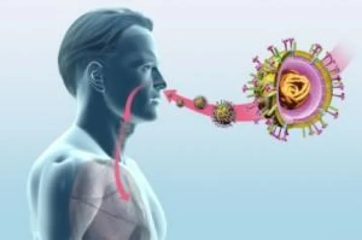 Bild: Hoher Mikronährstoffbedarf des Immunsystems