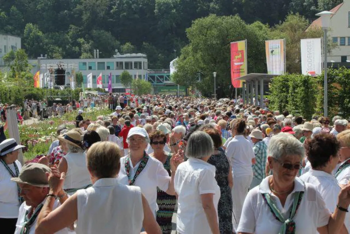 GEMCO beschallt Gelände für Tanztag auf der Gartenschau Sigmaringen