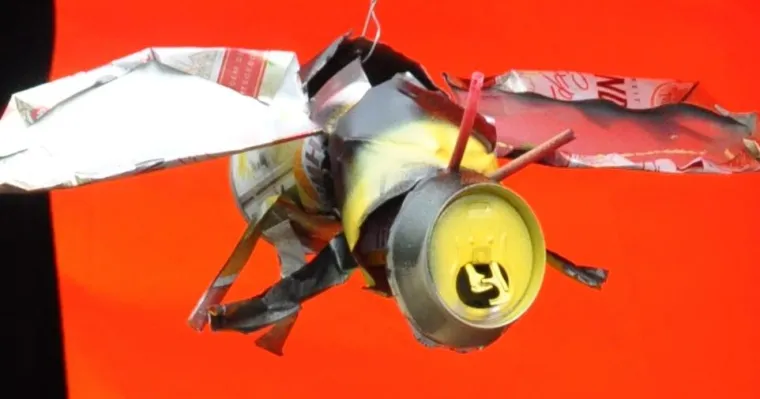 Bild: Von Bienen und anderen Tieren - 2. Jugend Workshop am 4. und 5. Oktober