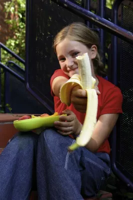 Bild: Abschlussbericht Karlsruher Ernährungstage 2006: Obst und Gemüse schmecken und machen uns gesünder