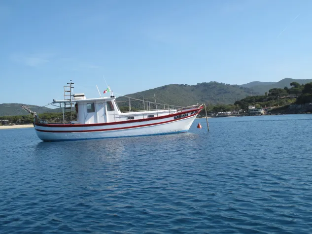 Bild: Insel Elba Tauchen, Exlusiver Tauchgang mit SpiroSub Diving auf Elba, Italien