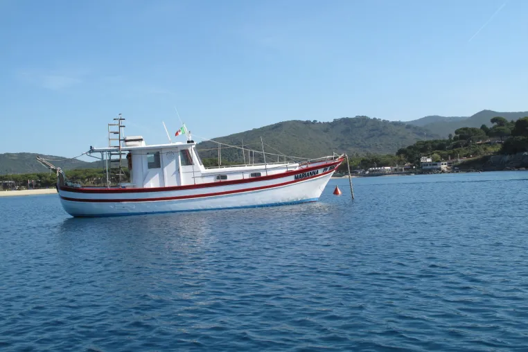 Bild: Insel Elba Tauchen, Exlusiver Tauchgang mit SpiroSub Diving auf Elba, Italien