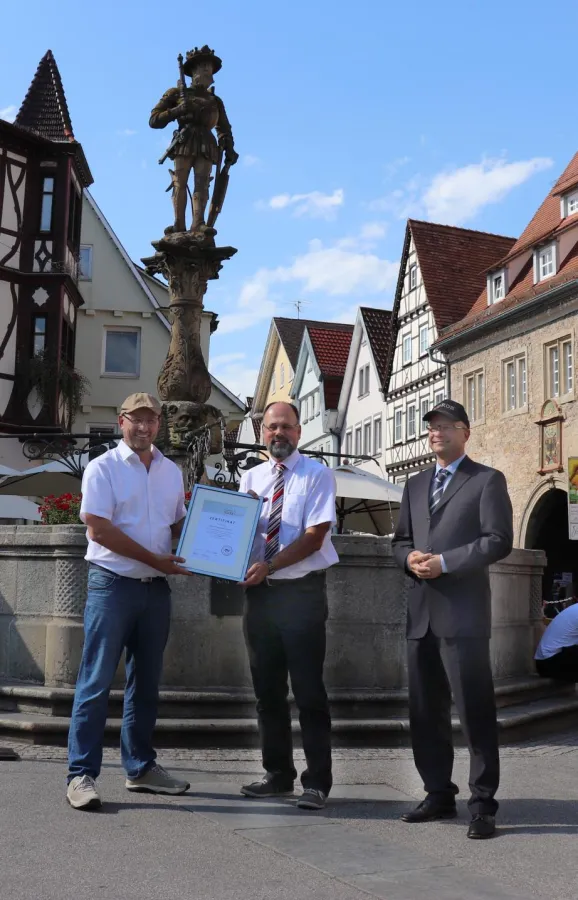 APROS Consulting Zertifikat 