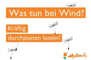 Bild: denkwerk realisiert für Holland Frühbucher-Aktion im Web