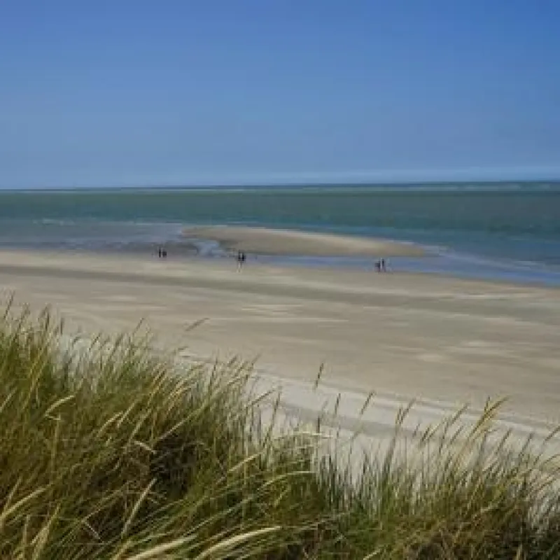 Wilde Nordsee