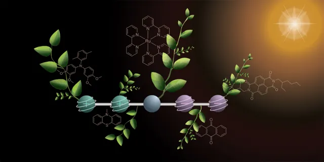 Bild: Chemiker entwickeln Molekül für wichtigen Schritt hin zu künstlicher Fotosynthese