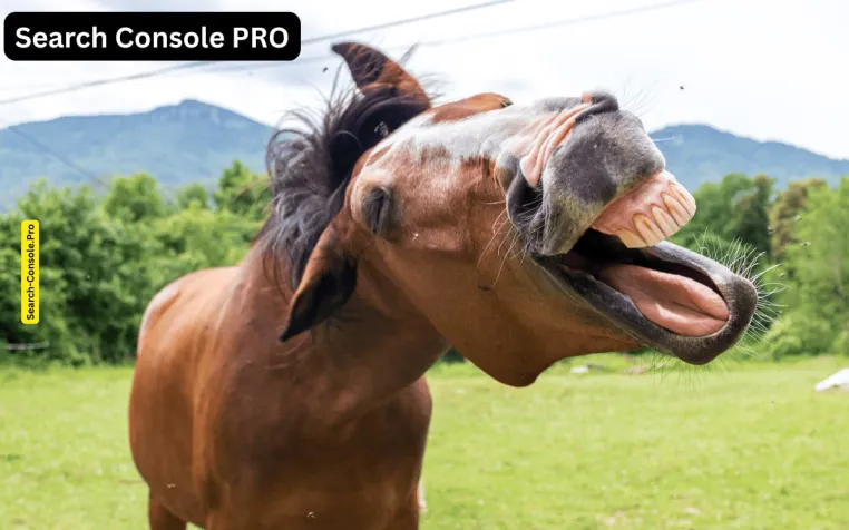 Bild: Neues SEO Tool - Search-Console.Pro