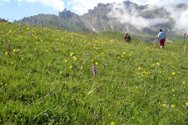 Aktiver Sommerurlaub zum Wandern und Wellness in Südtirol - Blüten-Safaris, Kraxeltouren & Gämsen Bild: Aktiver Sommerurlaub zum Wandern und Wellness in Südtirol - Blüten-Safaris, Kraxeltouren & Gämsen