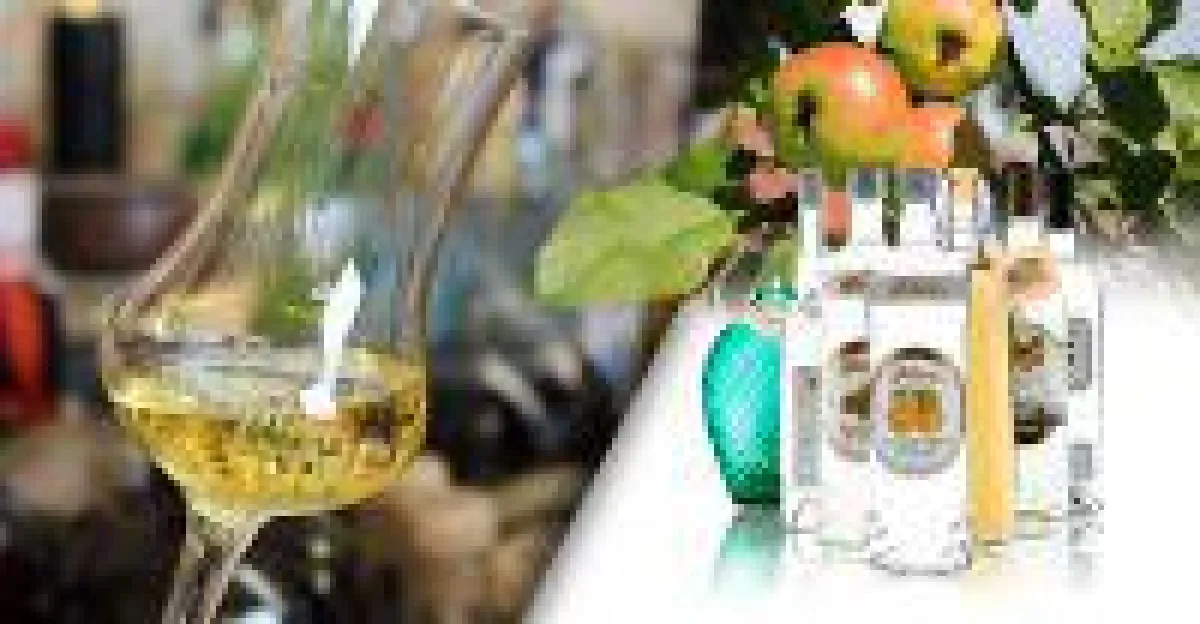 Entscheidungshilfe beim Schnapskauf: www.bester-schnaps.de