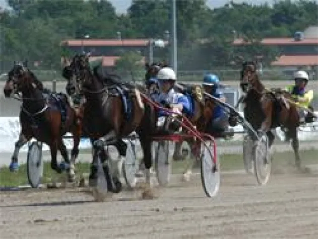 Bild: digibet Renntag im Pferdesportpark Karlhorst