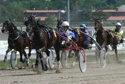 Bild: digibet Renntag im Pferdesportpark Karlhorst