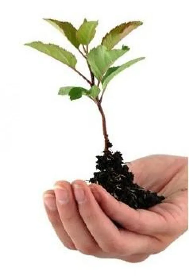 Ein Herz für Startups