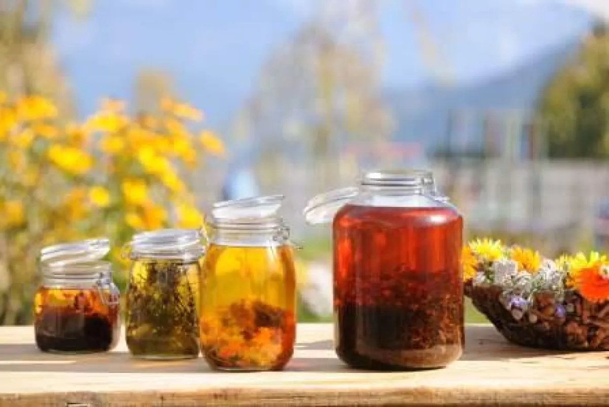 Holzhotel Forsthofalm