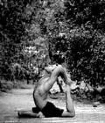 Bild: Anusara Yoga Workshop mit Ross Rayburn aus den USA vom 12. - 14. November 2010