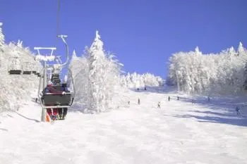 Bild: Familienurlaub mit Hund in Bayern Skiurlaub Bayerischer Wald