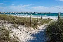 Bild: Abenteuer in Panama City Beachs Hinterland