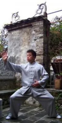 Bild: Taijiquan Workshops in Berlin, am 1./2. und 8./9. April 2017 mit Li Pengcheng, Master für Taijiquan und Qigong
