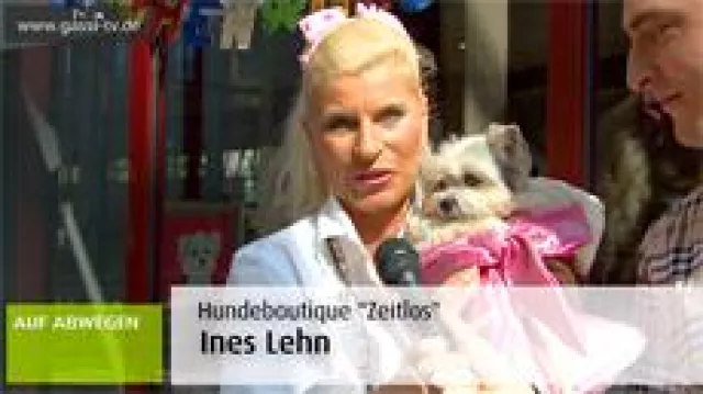 Hundegeburtstag im Maritim Bild: Hundegeburtstag im Maritim