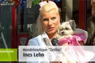 Hundegeburtstag im Maritim Bild: Hundegeburtstag im Maritim