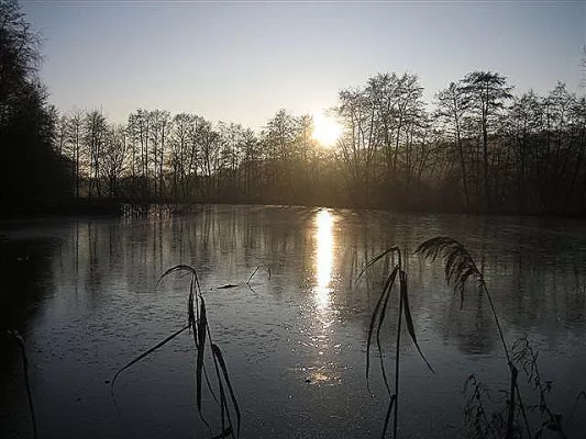 Junge Europäer auf der Suche nach sich selbst Bild: Junge Europäer auf der Suche nach sich selbst