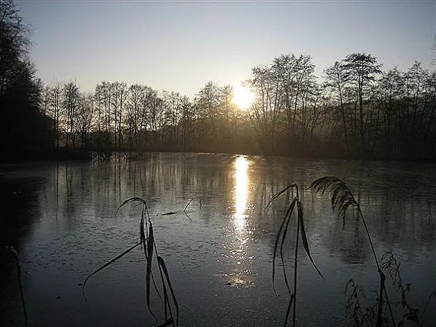 Bild: Junge Europäer auf der Suche nach sich selbst