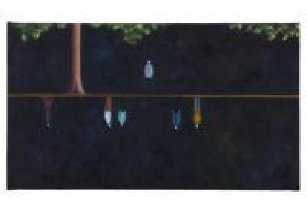 Flussfahrt von Wolfgang Lugmair, Berlin ©Oliver Wolff