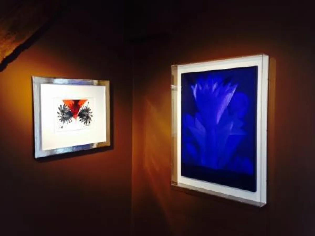 Einblick in die Ausstellung - Piene und Mack