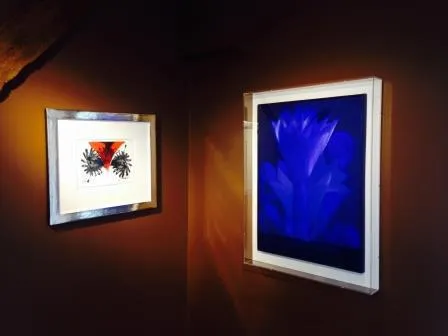 Bild: ZERO - ARTHERB meets Stedelijk Museum
